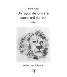 Cover of A Ray of Light in the Lion's Eye